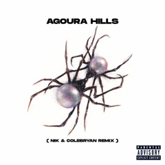 Agoura hills - Doja Cat [ NIK & COLEBRYAN Baile Funk remix ]
