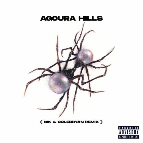 Agoura hills - Doja Cat [ NIK & COLEBRYAN Baile Funk remix ]