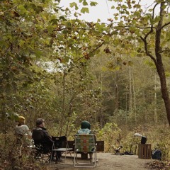 Wildcat Hollow: Early Morning Birds, May