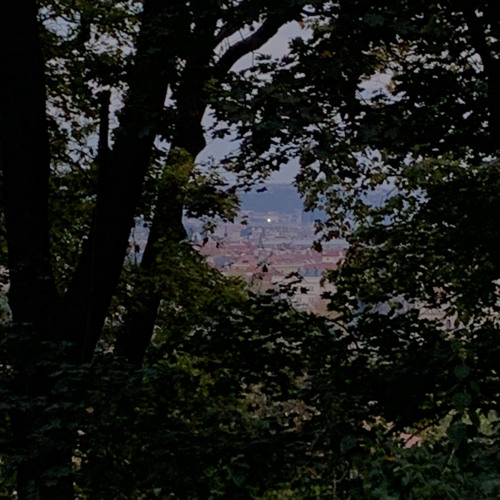 prague turf hard cut featuring prof.simplezz