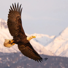 Merci Beaucoup x Kome On Ledger Mix