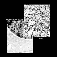 Fundamental - Aitvaras