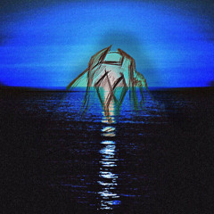 blizzNG x pvtch x glitr - higherthanthetide (prod. valious)