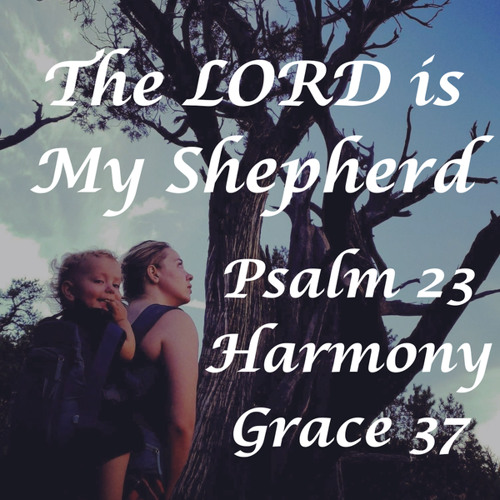 Stream The Lord Is My Shepherd ~ Psalm 23 (Live) by Harmony Grace 37 ...