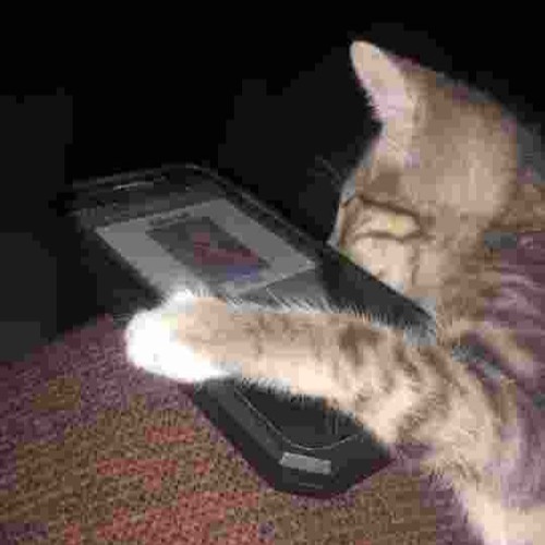 Frank Ocean White Ferrari [jersey club Redux]