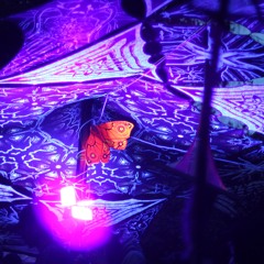DJ Set @ "Nocturna" Open Air by @EsKnalltImWald (02.08.25)