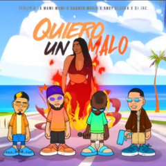 Quiero Un Malo-DJ Jac,Andy Alaska,Danner music