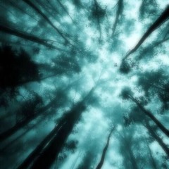 заметки w/melo21