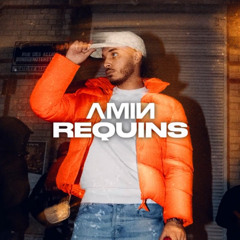 Requins - AMIN