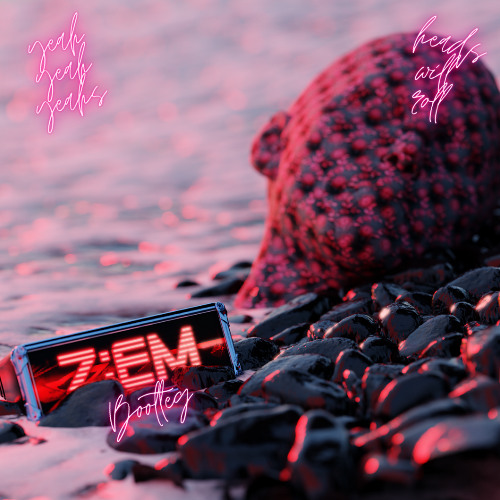 Yeah Yeah Yeah's - Heads Will Roll - ZEM Bootleg