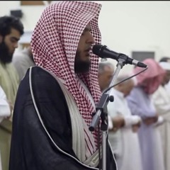 محمد عبادة