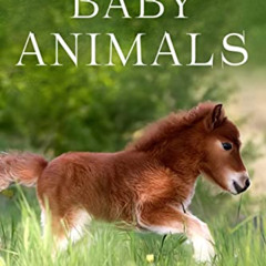 [Get] KINDLE 🖌️ The Picture Book of Baby Animals: A Gift Book for Alzheimer's Patien