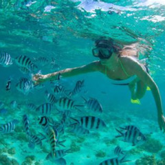 Best Place To Snorkel In Cabo San Lucas Mexico Prices Reviews