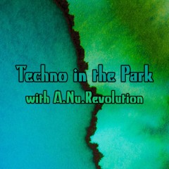Techno In The Park