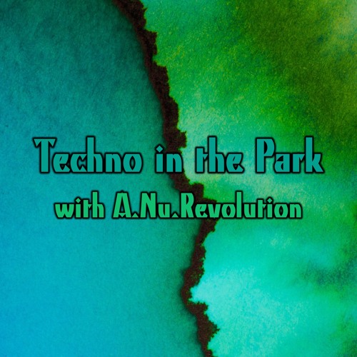Techno In The Park