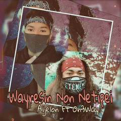 Wayresin Non Netipei
