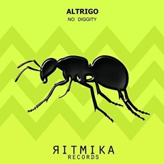 Altrigo - No Diggity