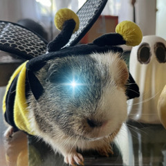 A Little Bit of Anxiety