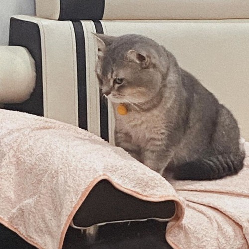 VIET DEEP 2023 - MIXTAPE SET NHẠC CŨ 9X - DEEP HOUSE CHILL 8X9X