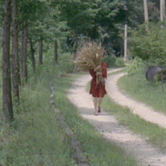 Jij denkt allen maar dat het romantisch is