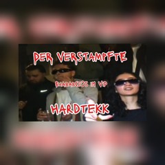 DeR VeRsTaMpFtE Shabab(e)s im ViP (Hardtekk Remix)