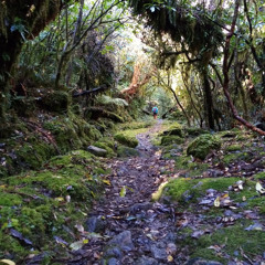 my voice in this track