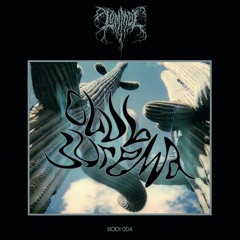 Lommol - JPEG 2000 Purist