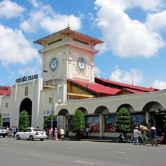 Review Top Private Ho Chi Minh City Shore Excursion from Phu My Port