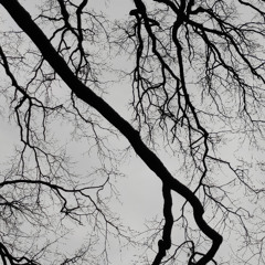 Feoffi (variation I)_excerpt from tv series