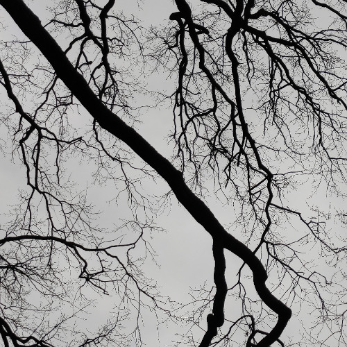 Feoffi (variation I)_excerpt from tv series