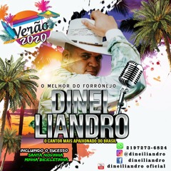 Dinei Liandro (Santa novinha).mp3