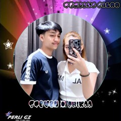 DJ PERLI GZ • SEKECEWA ITU X PUJAAN HATI HARDMIX FUNKOT 2024 STEVEN DAN CHIKA