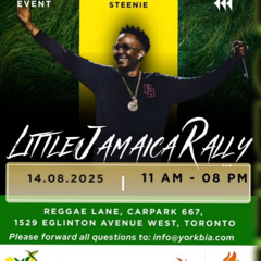LITTLE JAMAICA RALLY DAY 2 - FIRISTIC STEENIE  @REGGAE LANE, TORONTO 9/14/2025