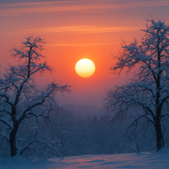 winter emotion1 27.11.2025