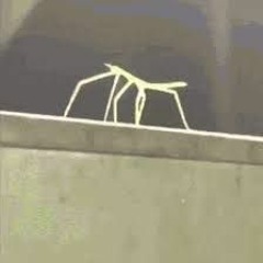 Stickbug - Remix