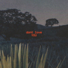 dont love you