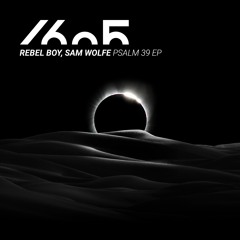 Rebel Boy & Sam WOLFE - Dismantle The System (Original Mix)