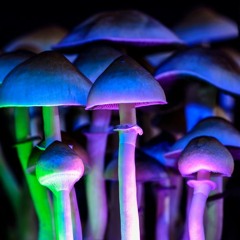 mushrooms ft. 1nder