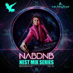 NAB DNB Nest Mix Series [witchinghour] - Vol 14