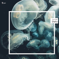 Sun Uzel - Aquarium (Original Mix)