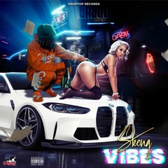 Skeng - Vibes