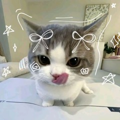 Bước nhẹ vào tim anh remix