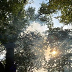 ATCK live at gART.n – CLARA & Tuete [2024]