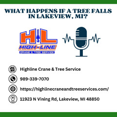 What Happens If a Tree Falls in Lakeview, MI?