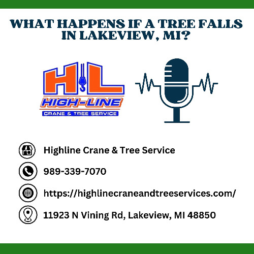 What Happens If a Tree Falls in Lakeview, MI?