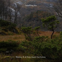 Sure Thing Mix 128: Beatrice M. & Trois-Quarts Taxi System