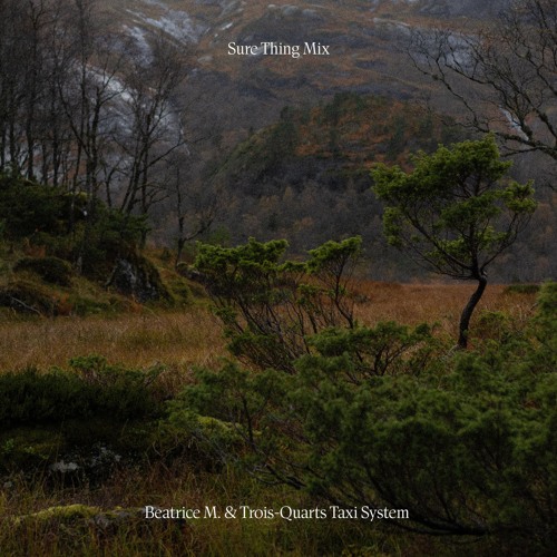 Sure Thing Mix 128: Beatrice M. & Trois-Quarts Taxi System