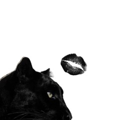 𝐙𝐯𝐠𝐳𝐝𝐭