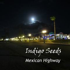 Mexican Highway