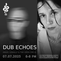 Dub Echoes - Aaja channel 2 - 07 07 25